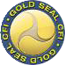 Gold Seal Flight Instructors Gold Seal Flight Instructors